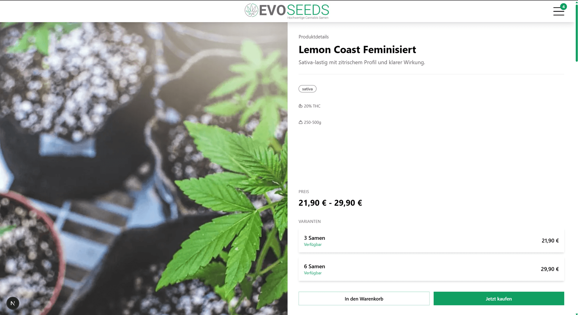 Onlineshop für Cannabissamen